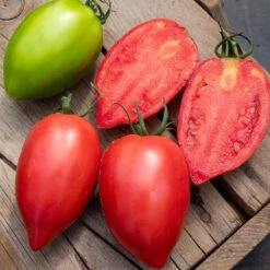 Rugby F1 Pink Heart-Shaped Tomato Seeds - Meaty & High-Yielding Hybrid -Eden Brothers Shop tomato rugby f1 pls 4