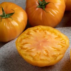 Striped German Tomato Seeds - Premium Heirloom Beefsteak Variety