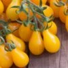Heirloom Yellow Pear Tomato Seeds - Sweet & Low-Acidity Garden Variety