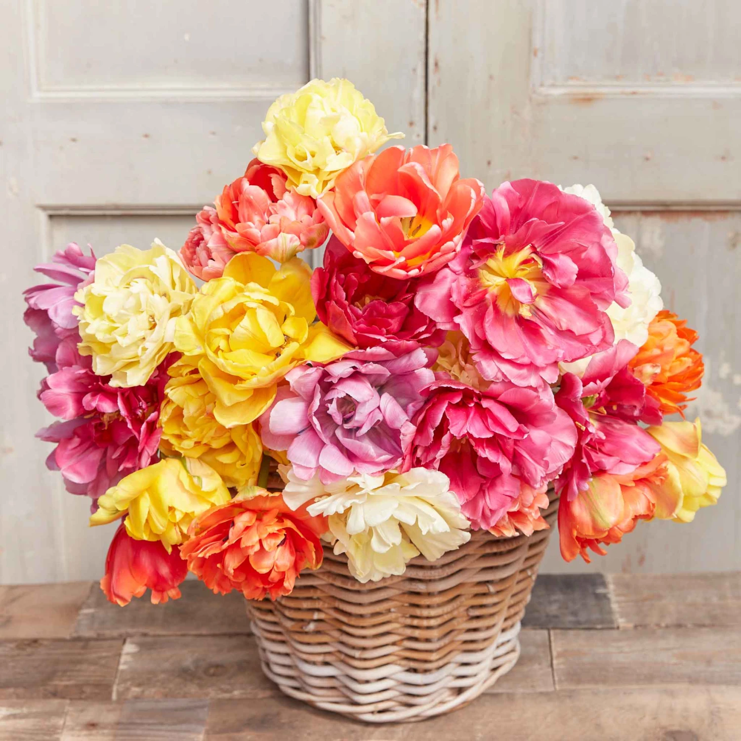 45 Days Of Peony-Flowered Tulips 2 45 Days Of Peony-Flowered Tulips - Image 2