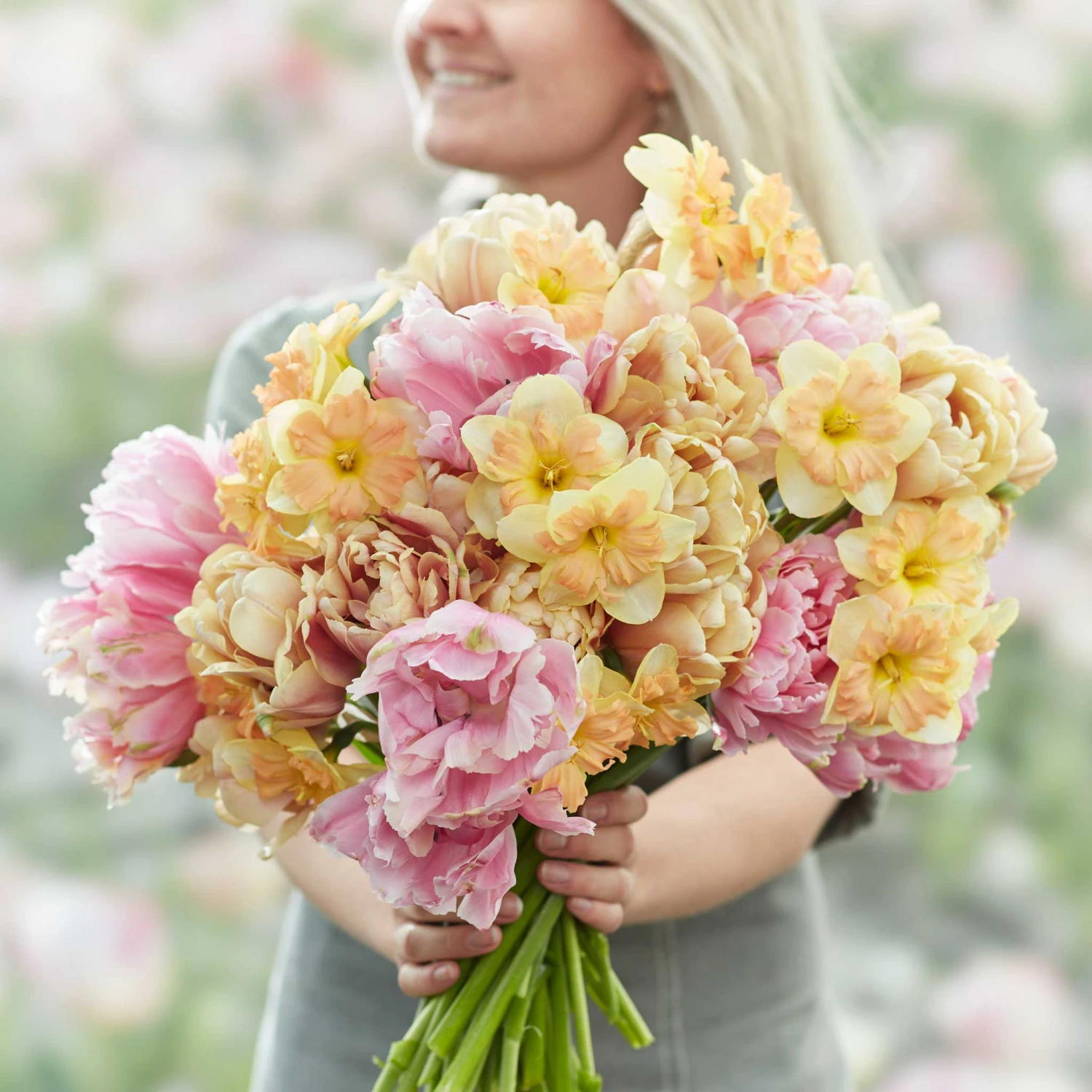 Tulip & Daffodil Promenade Mix 1 Tulip & Daffodil Promenade Mix