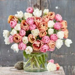 La Belle Epoque Bright Tulip Bulbs Mix - Stunning Peony-Style Blooms