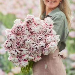 Fragrant Pistache Tulip Bulbs - Bicolored Early Blooming Flower Bulbs