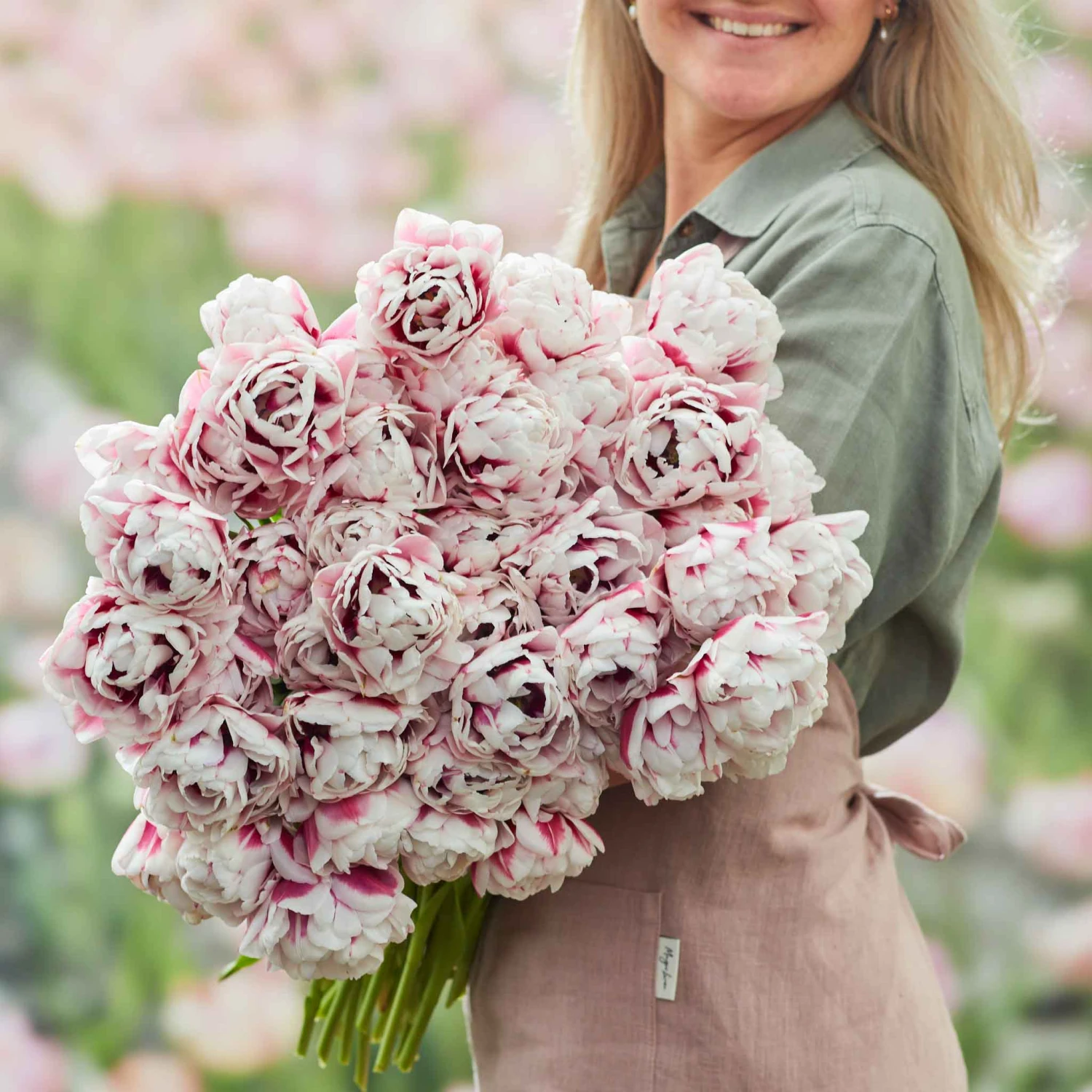 Fragrant Pistache Tulip Bulbs - Bicolored Early Blooming Flower Bulbs 1 Fragrant Pistache Tulip Bulbs - Bicolored Early Blooming Flower Bulbs