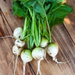White Egg Turnip Seeds - Premium Heirloom Vegetable Seeds