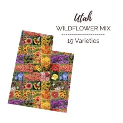 Utah Wildflower Seed Mix for Dry & Semi-Arid Climates