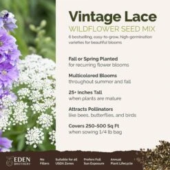 Vintage Lace Wildflower Seed Mix - Elegant Cottage Garden Flowers -Eden Brothers Shop vintage lace SMSPU121 qb3 st1