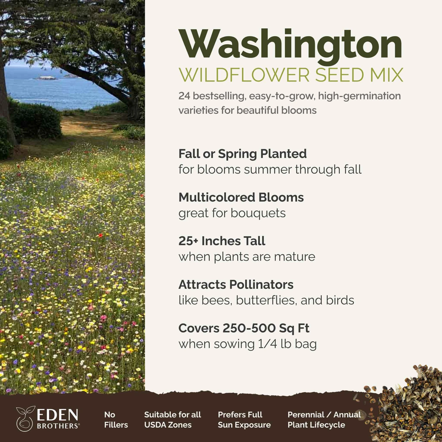 Washington Wildflower Seed Mix: 24-Variety Premium Garden Bloom Blend 2 Washington Wildflower Seed Mix: 24-Variety Premium Garden Bloom Blend - Image 2