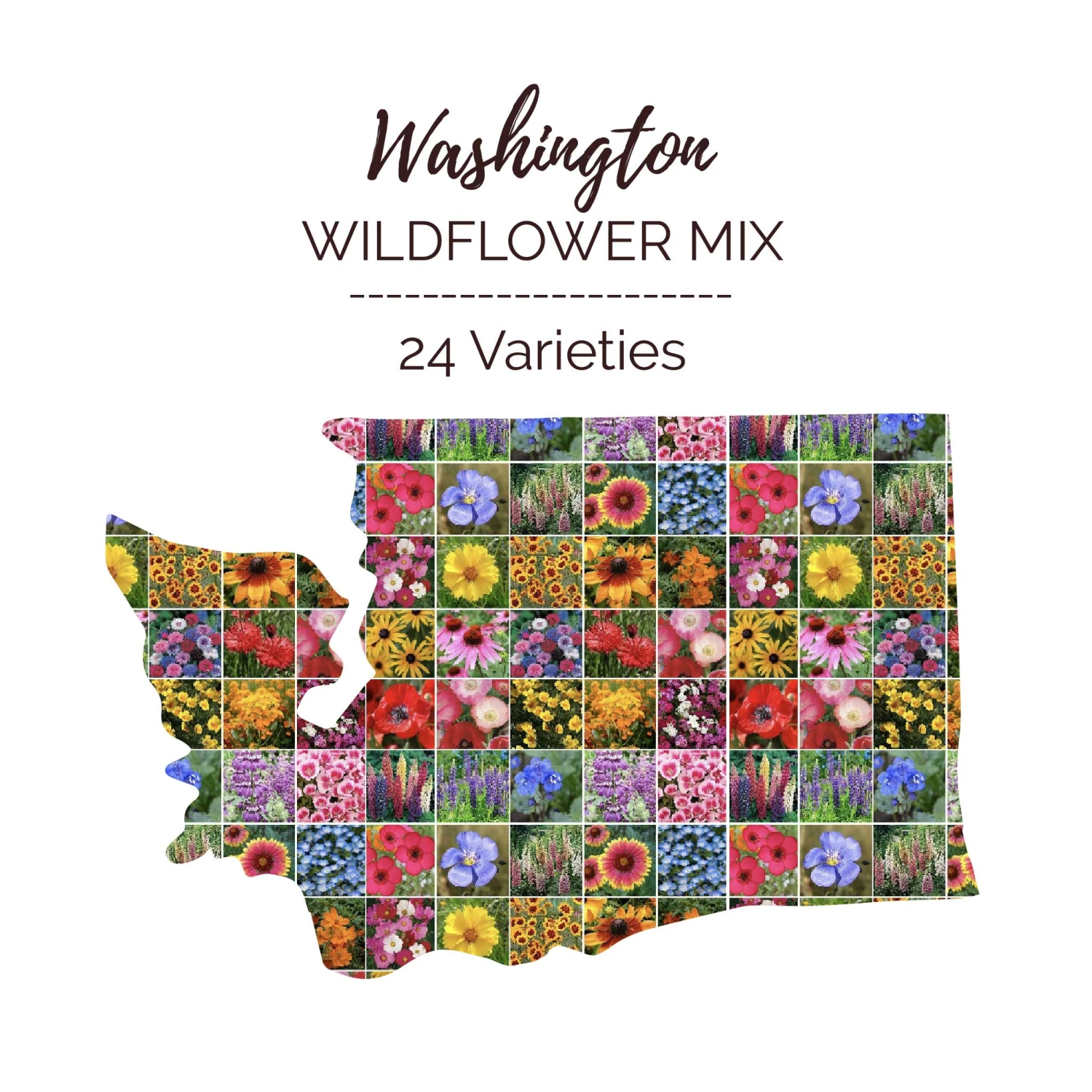 Washington Wildflower Seed Mix: 24-Variety Premium Garden Bloom Blend 1 Washington Wildflower Seed Mix: 24-Variety Premium Garden Bloom Blend