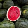 Black Diamond Watermelon Seeds: Grow Massive 75lb Heirloom Watermelons