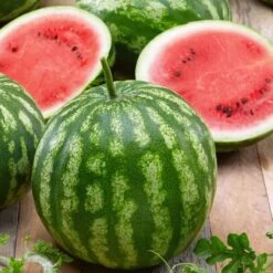 Premium Cal Sweet Watermelon Seeds - Large, Sweet Heirloom Variety