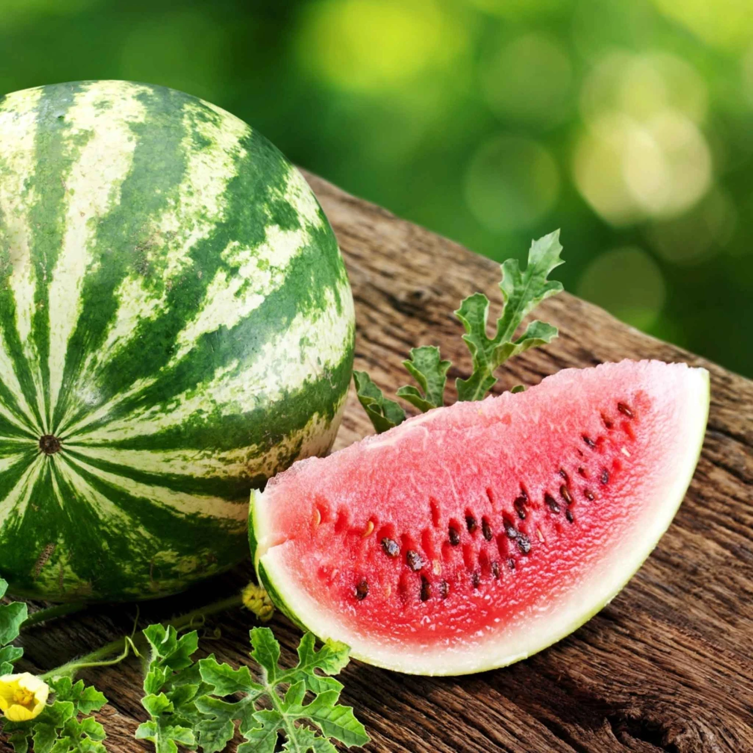 Watermelon Seeds - Dixie Queen 1 Watermelon Seeds - Dixie Queen