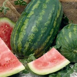 Watermelon Seeds - Jubilee Improved