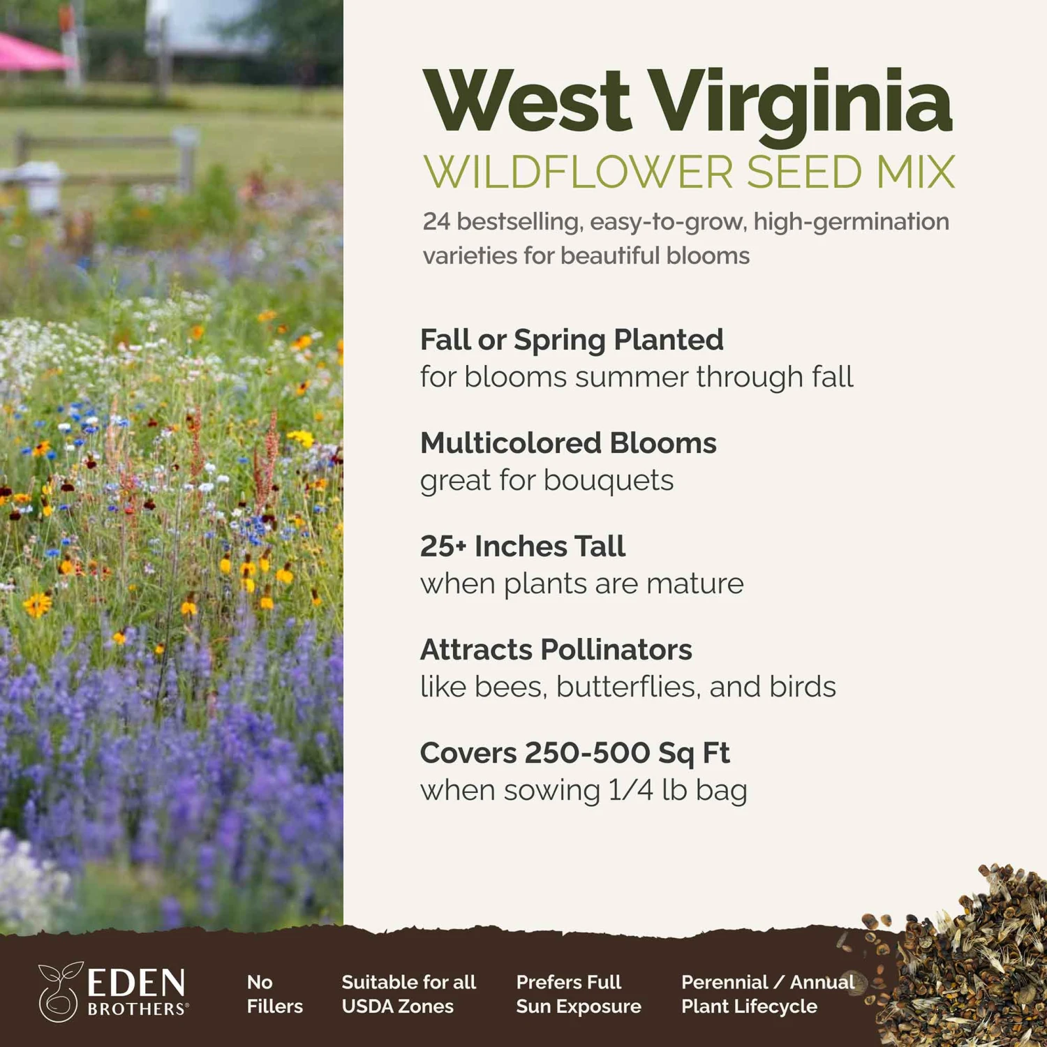 West Virginia Wildflower Seed Mix 2 West Virginia Wildflower Seed Mix - Image 2