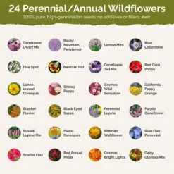 Western Wildflower Seed Mix 6 Western Wildflower Seed Mix -Eden Brothers Shop western SMREG116 st2
