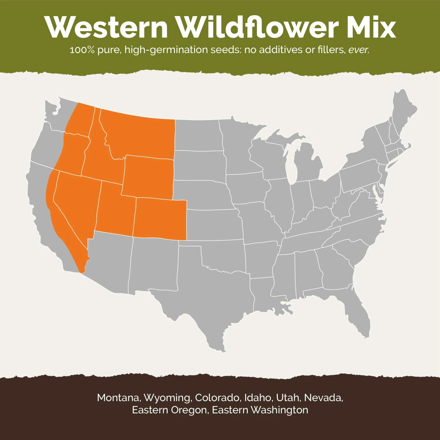 Western Wildflower Seed Mix 2 Western Wildflower Seed Mix - Image 2