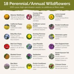 Wisconsin Wildflower Seed Mix -Eden Brothers Shop wisconsin SMREG167 st2