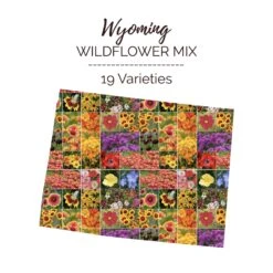 Wyoming Wildflower Seed Mix