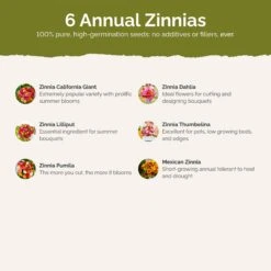 Zin Master - Zinnia Flower Seed Mix 8 Zin Master - Zinnia Flower Seed Mix -Eden Brothers Shop zin master SMISP120 st2