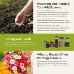 Zin Master - Zinnia Flower Seed Mix 9 Zin Master - Zinnia Flower Seed Mix -Eden Brothers Shop zin master SMISP120 st5